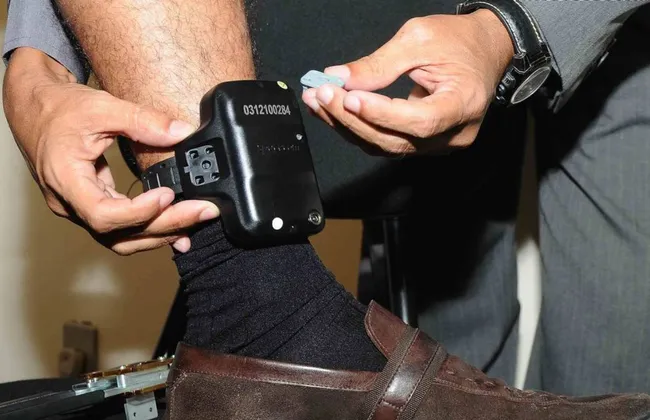 Imagem ilustrativa da imagem 