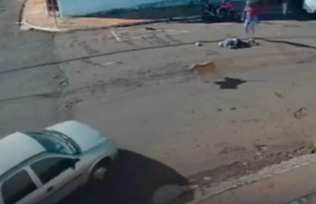 Imagem ilustrativa da imagem 