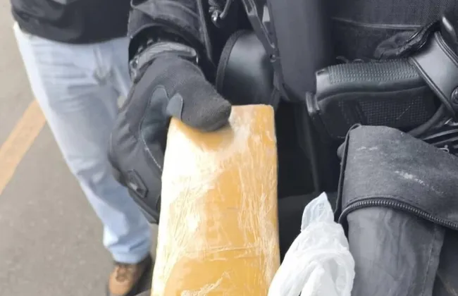 Imagem ilustrativa da imagem 