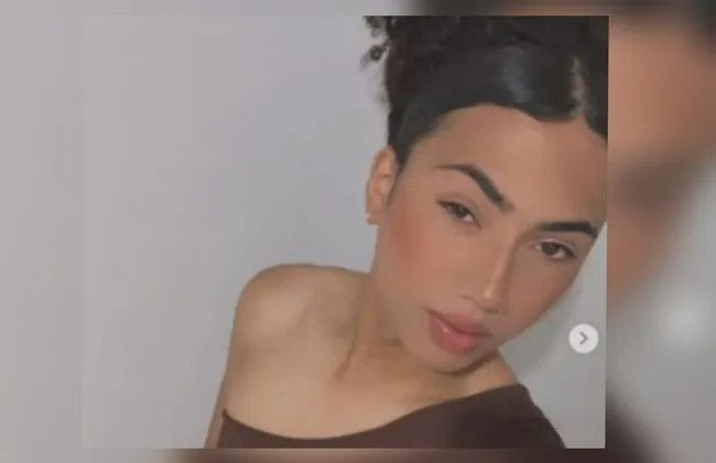 Imagem ilustrativa da imagem 