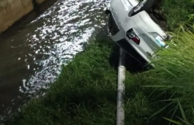 Imagem ilustrativa da imagem 