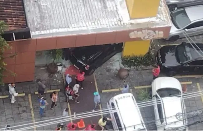 Imagem ilustrativa da imagem 