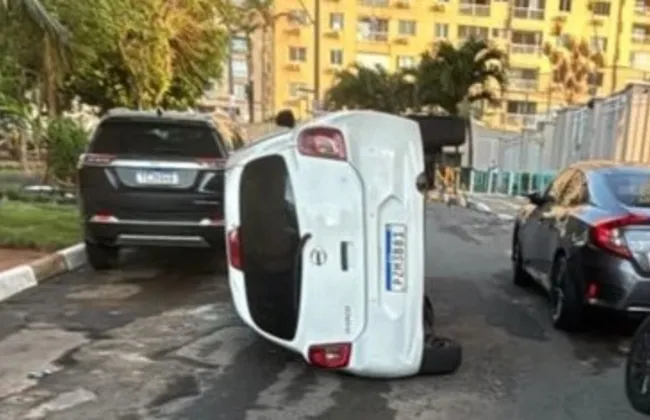 Imagem ilustrativa da imagem 