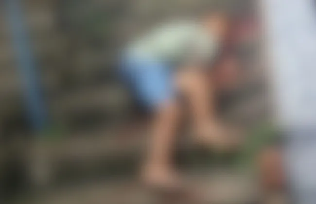 Imagem ilustrativa da imagem 