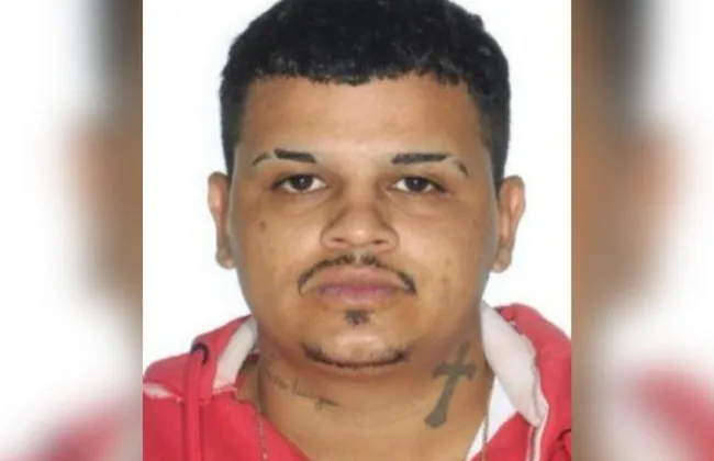 Imagem ilustrativa da imagem 