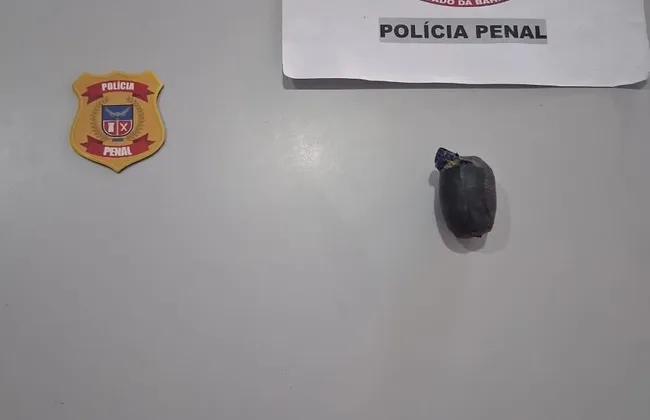 Imagem ilustrativa da imagem 