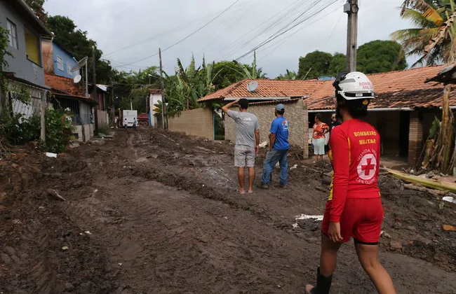 Imagem ilustrativa da imagem 