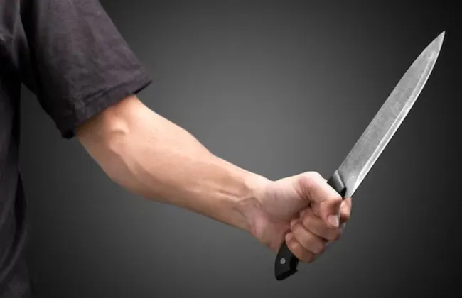 Imagem ilustrativa da imagem 