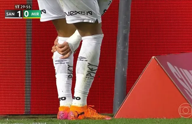 Imagem ilustrativa da imagem 