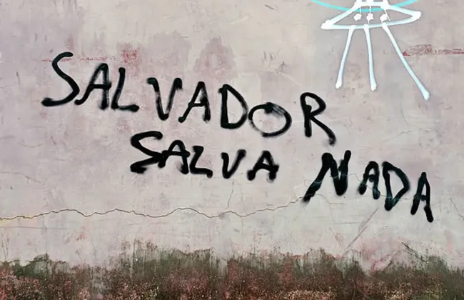 Imagem ilustrativa da imagem 