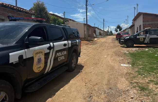 Imagem ilustrativa da imagem 