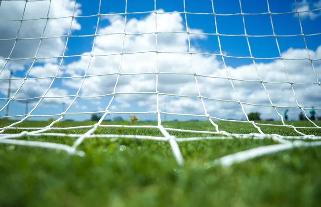 Imagem ilustrativa da imagem 