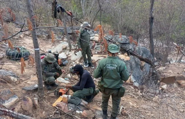 Imagem ilustrativa da imagem 