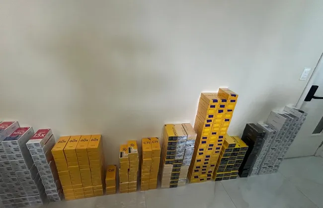 Imagem ilustrativa da imagem 