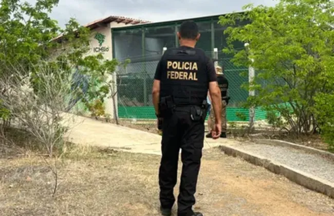 Imagem ilustrativa da imagem 