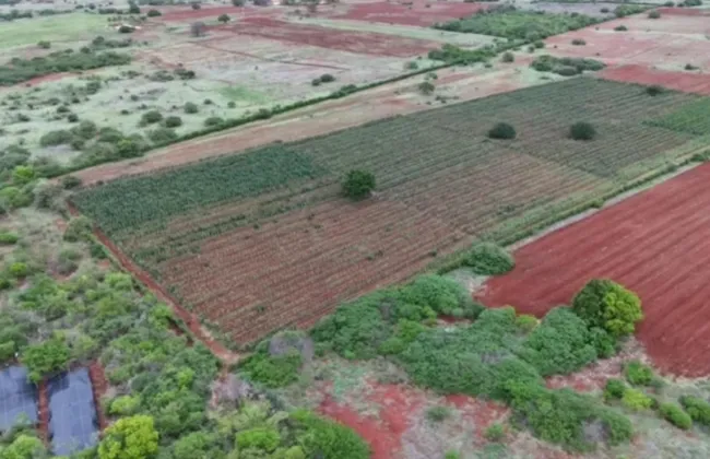 Imagem ilustrativa da imagem 