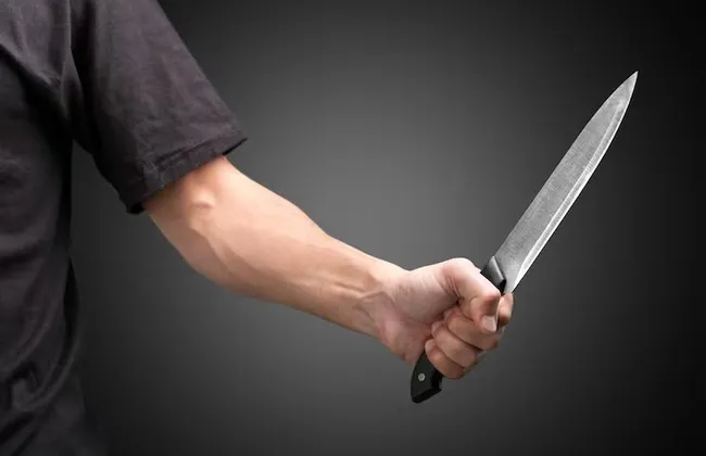 Imagem ilustrativa da imagem 