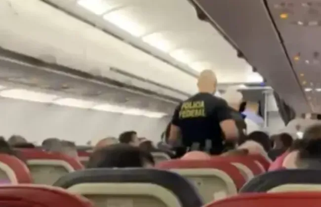 Imagem ilustrativa da imagem 