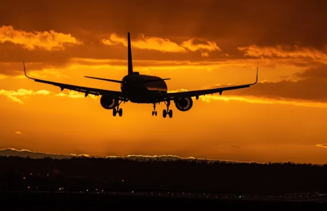 Imagem ilustrativa da imagem 