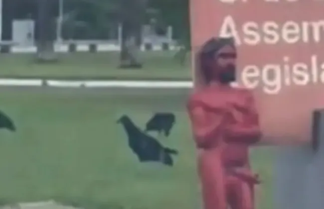 Imagem ilustrativa da imagem 