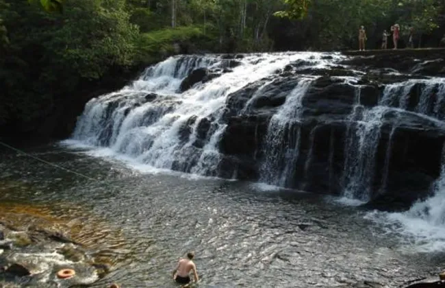 Imagem ilustrativa da imagem 