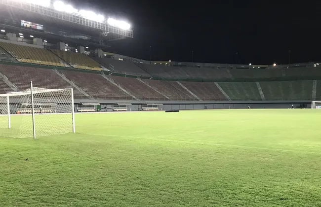 Imagem ilustrativa da imagem 