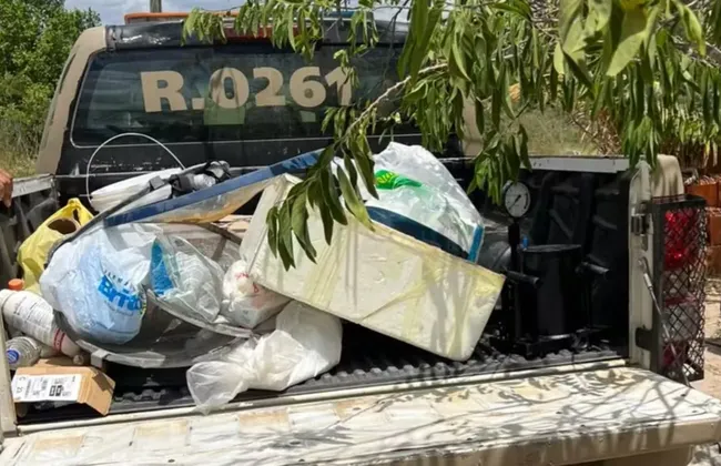 Imagem ilustrativa da imagem 