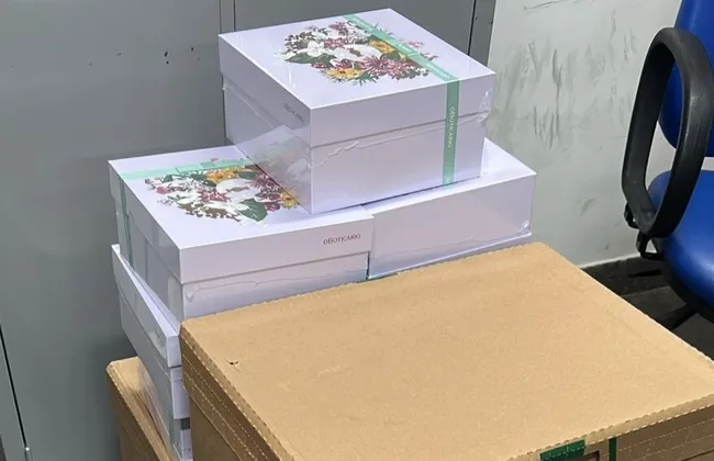 Imagem ilustrativa da imagem 