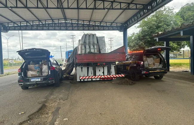 Imagem ilustrativa da imagem 