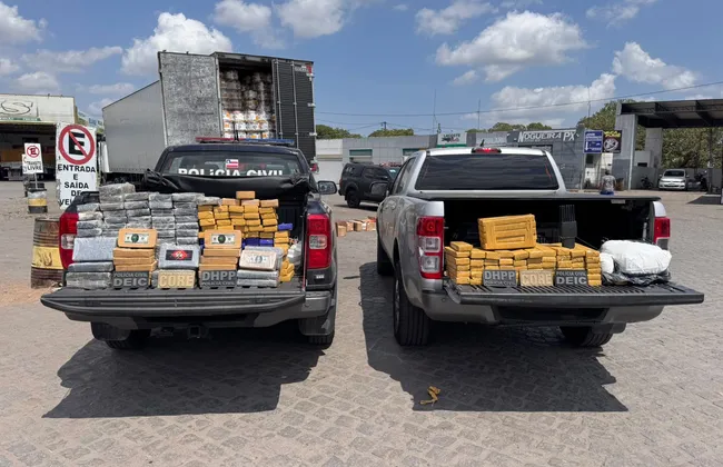 Imagem ilustrativa da imagem 