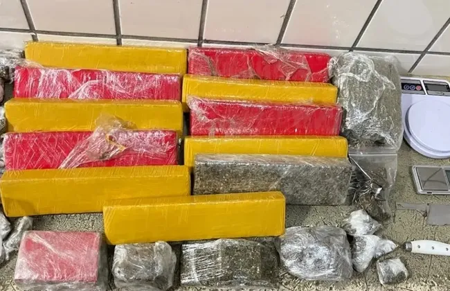 Imagem ilustrativa da imagem 