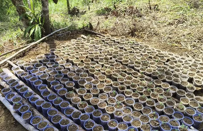 Imagem ilustrativa da imagem 