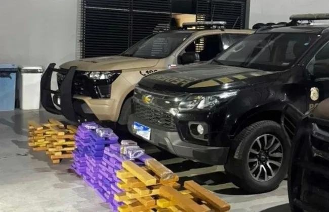 Imagem ilustrativa da imagem 