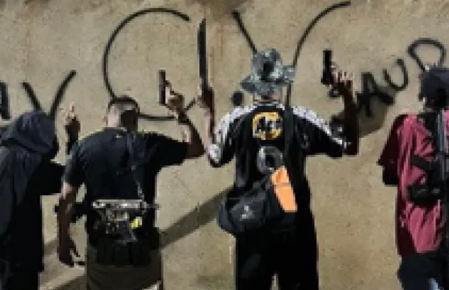 Imagem ilustrativa da imagem 