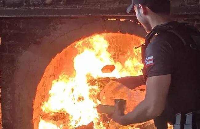 Imagem ilustrativa da imagem 