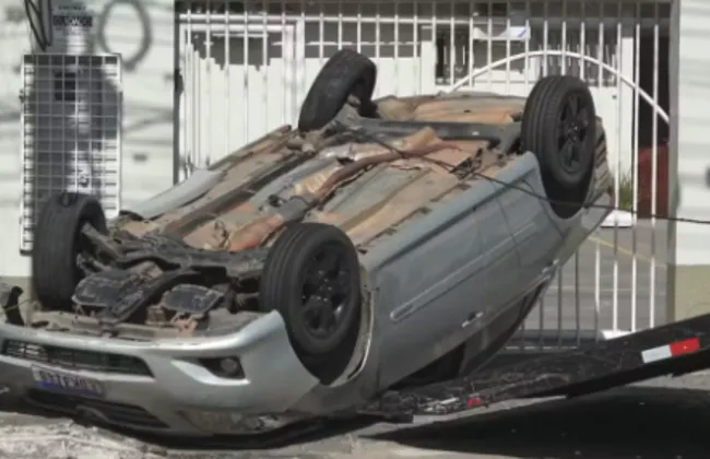 Imagem ilustrativa da imagem 