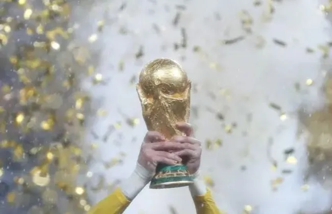 Imagem ilustrativa da imagem 