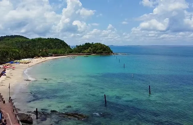 Imagem ilustrativa da imagem 