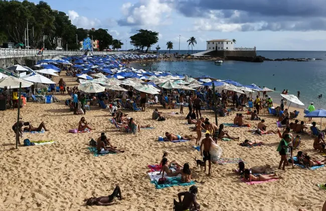 Imagem ilustrativa da imagem 