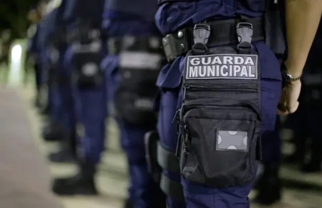 Imagem ilustrativa da imagem 