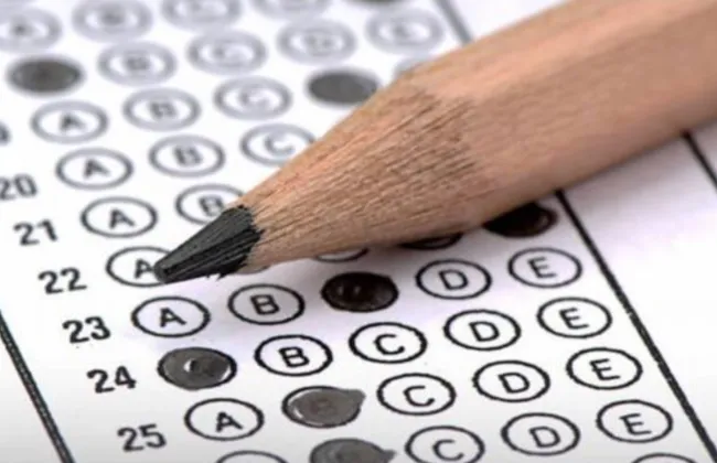 Imagem ilustrativa da imagem 