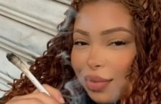 Imagem ilustrativa da imagem 