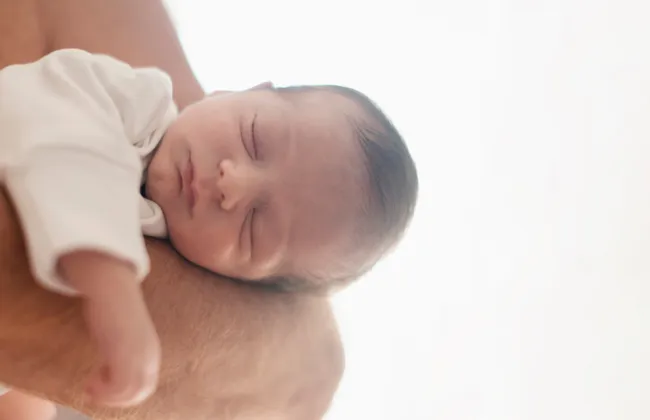 Imagem ilustrativa da imagem 