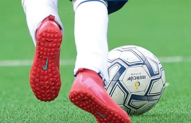 Imagem ilustrativa da imagem 