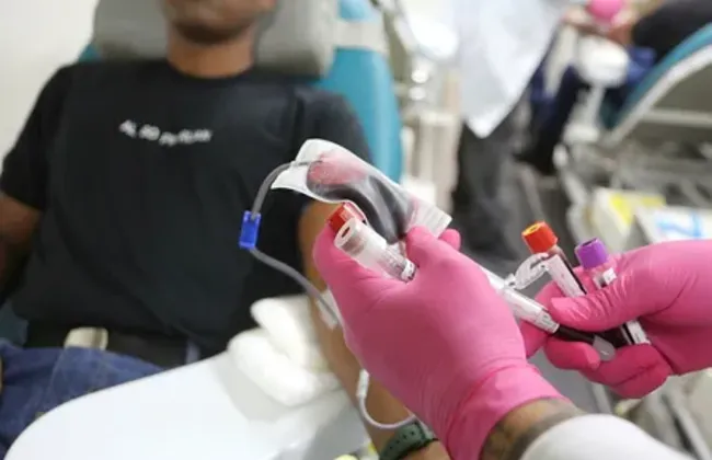 Imagem ilustrativa da imagem 