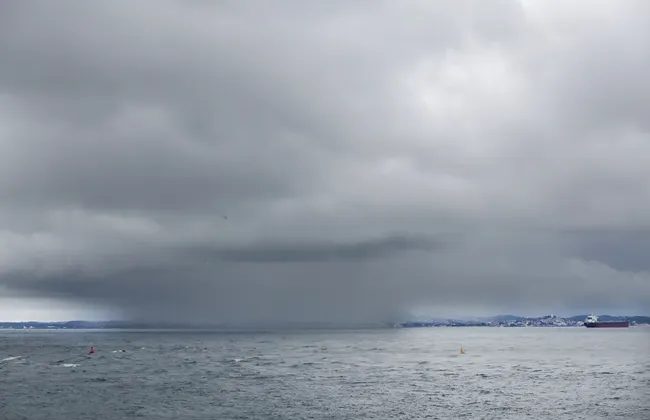 Imagem ilustrativa da imagem 