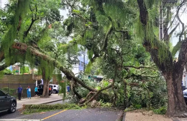 Imagem ilustrativa da imagem 