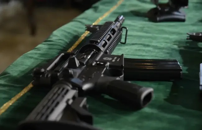 Imagem ilustrativa da imagem 