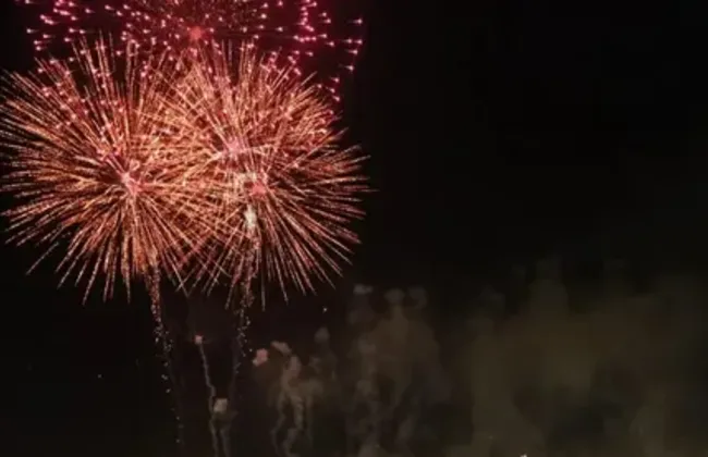 Imagem ilustrativa da imagem 