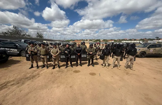 Imagem ilustrativa da imagem 